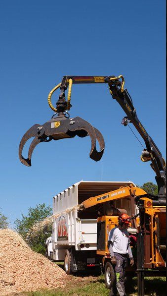 Tree removal equipment