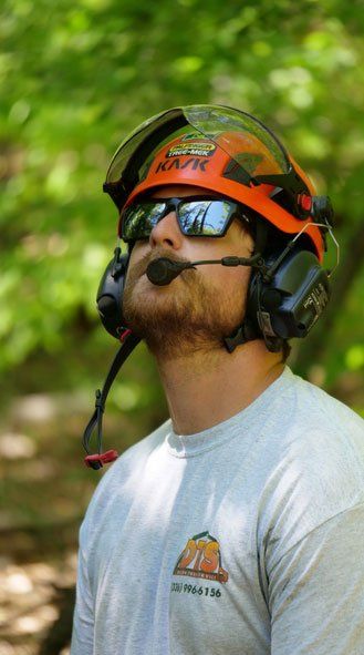 Professional arborist