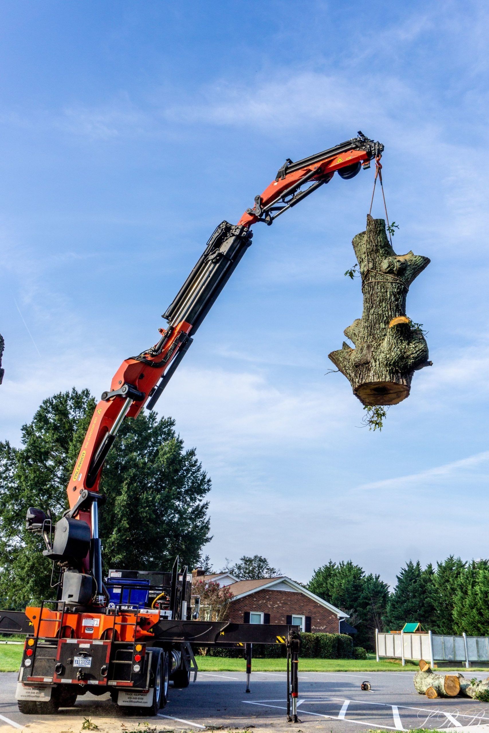 tree company greensboro nc