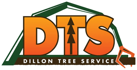 Emergency Tree Removal Near Me Maywood, CA