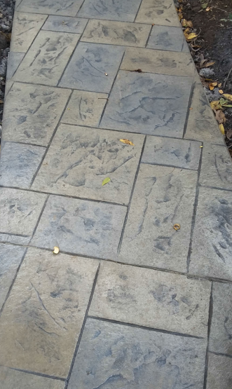 Wet stone sidewalk with rectangular paving slabs and scattered fallen leaves