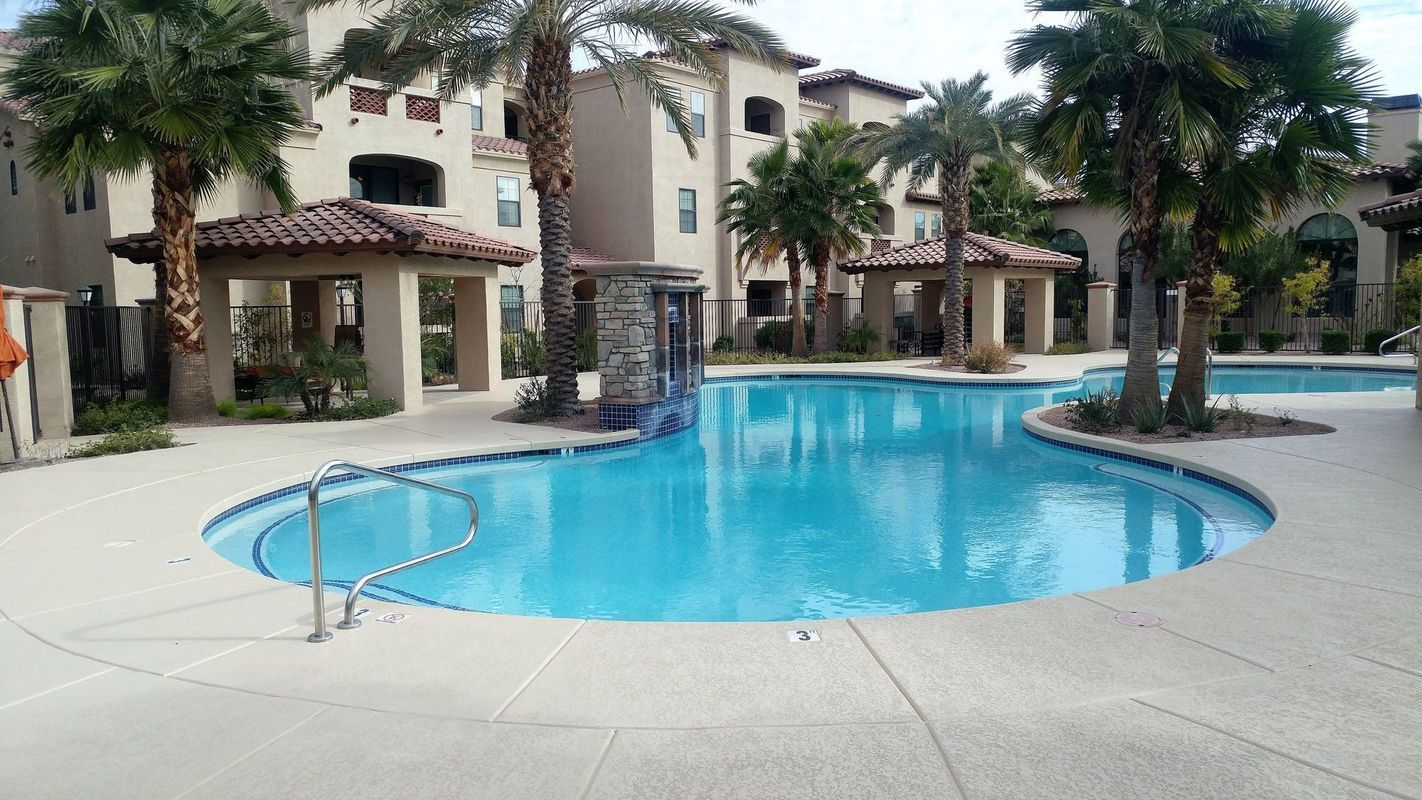 Pool with blue water surrounded by a light-colored patio and palm trees; buildings in the background.
