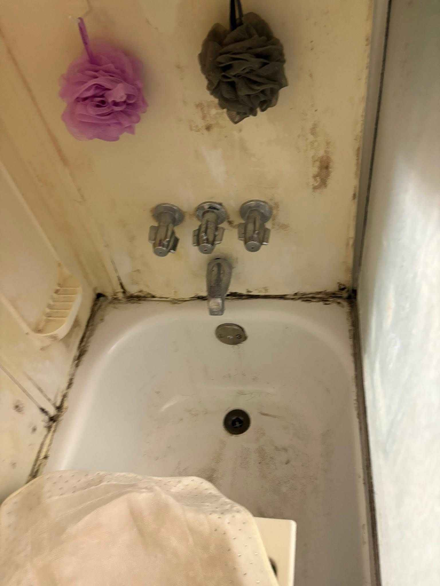 Bathtub with significant mold and mildew on walls and fixtures. Two bath sponges hang above the faucet.