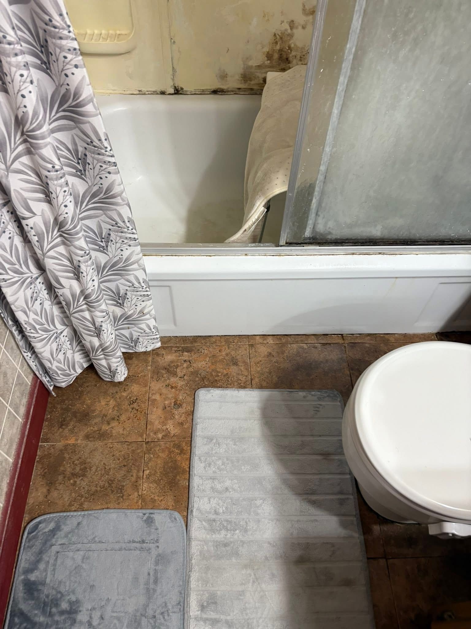 Bathroom with tub, shower curtain, and toilet. Mold is visible. Floor mats are on the floor.