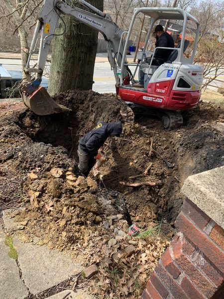 Workers digging near a tree with an excavator. One man is in the hole, another operating the machine on a residential street.