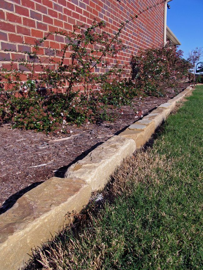A row of rose bushes planted in a mulched bed against a brick wall, bordered by rectangular stone pavers next to grass.