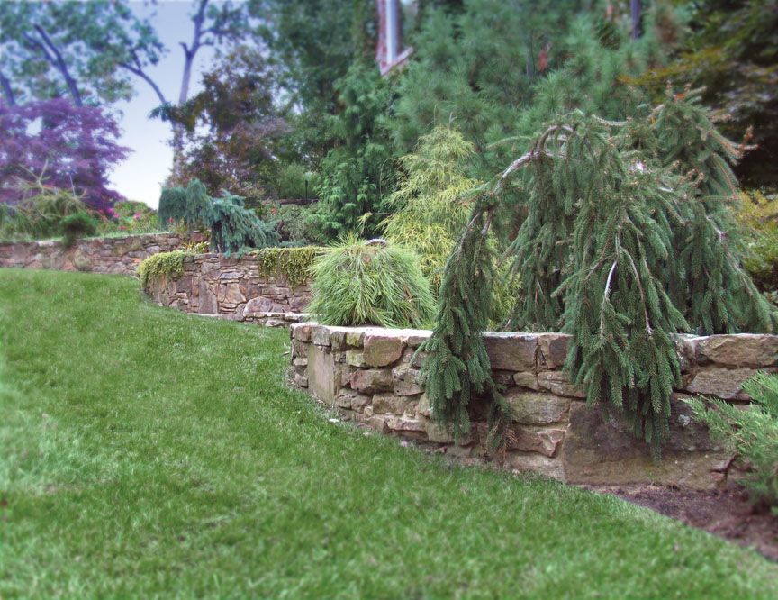 A tiered stone retaining wall curves through a lush green lawn, featuring evergreen shrubs and trees in a landscaped yard.