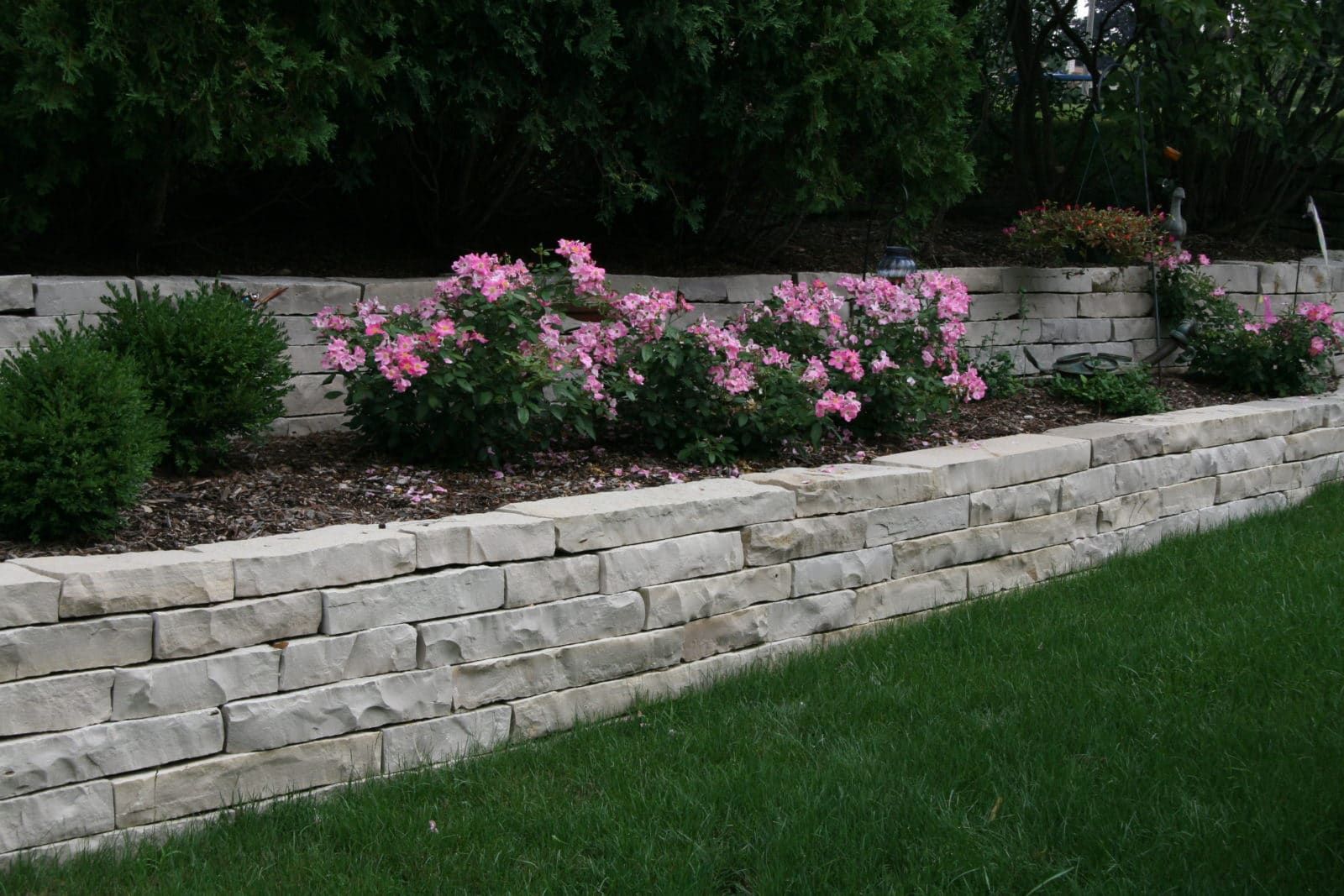 A stone retaining wall in a garden bed with pink flowering bushes and small green shrubs against a lawn.