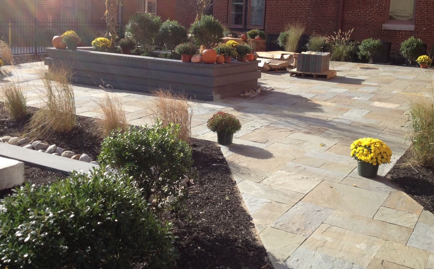 A landscaped patio with stone paving, a long wooden planter, ornamental grasses, shrubs, and potted yellow chrysanthemums.