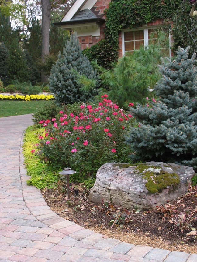 A paved walkway winds through a lush front garden featuring red roses, blue spruce trees, and a mossy boulder by a home.