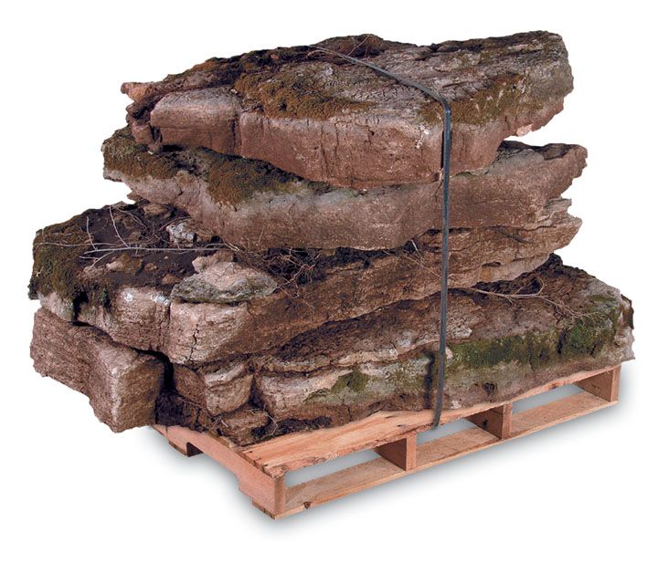 A wooden pallet stacked with several large, moss-covered, rectangular flagstones secured by a black strap.