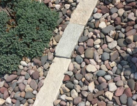Stone garden path bordered by river rocks and a low green shrub.