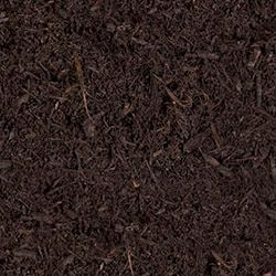 Dark brown mulch or soil texture close-up