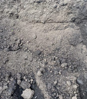 Close-up of rough gray soil or gravel with small rocks and dirt clumps