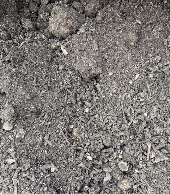 Close-up of loose gray-brown soil with small rocks and clumps.