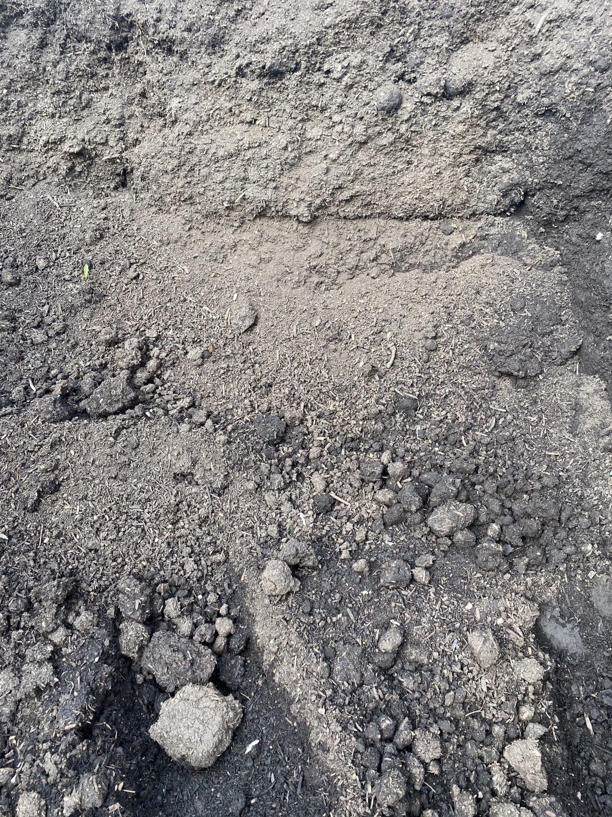 Close-up of rough gray dirt or gravel with small stones and dark soil patches