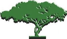 A green, stylized silhouette of an acacia tree with a flat-topped canopy and a slender, slightly curved trunk.