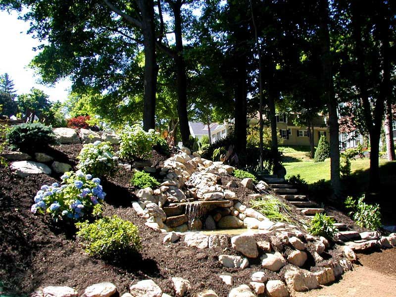 A terraced garden with a tiered stone water feature, lush blue hydrangeas, and stone steps leading up a wooded hill.