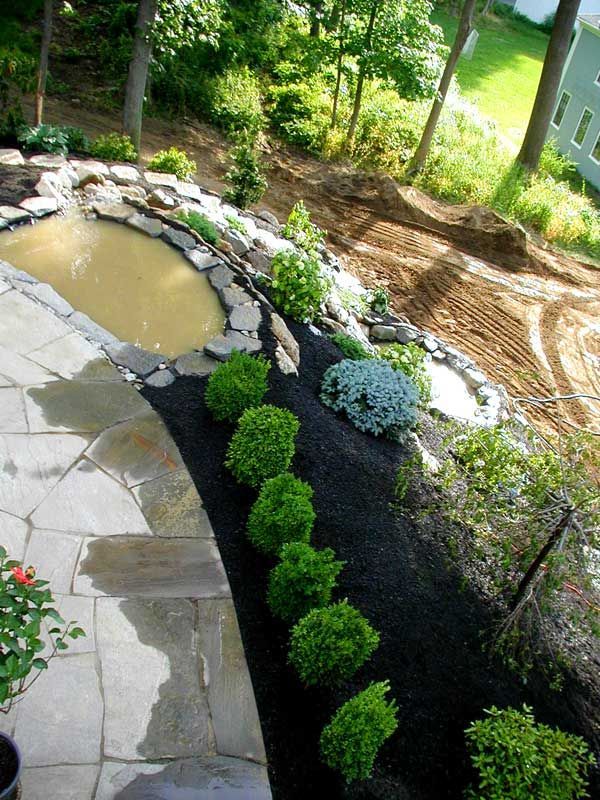 A stone patio with a pond borders a mulch garden containing a row of small, rounded shrubs next to a sloped, dirt yard.