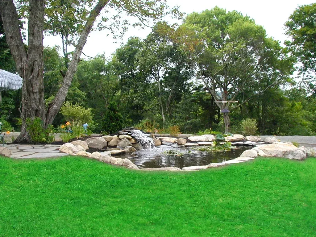 A small garden pond with a waterfall, surrounded by rocks and lush green grass under mature trees.
