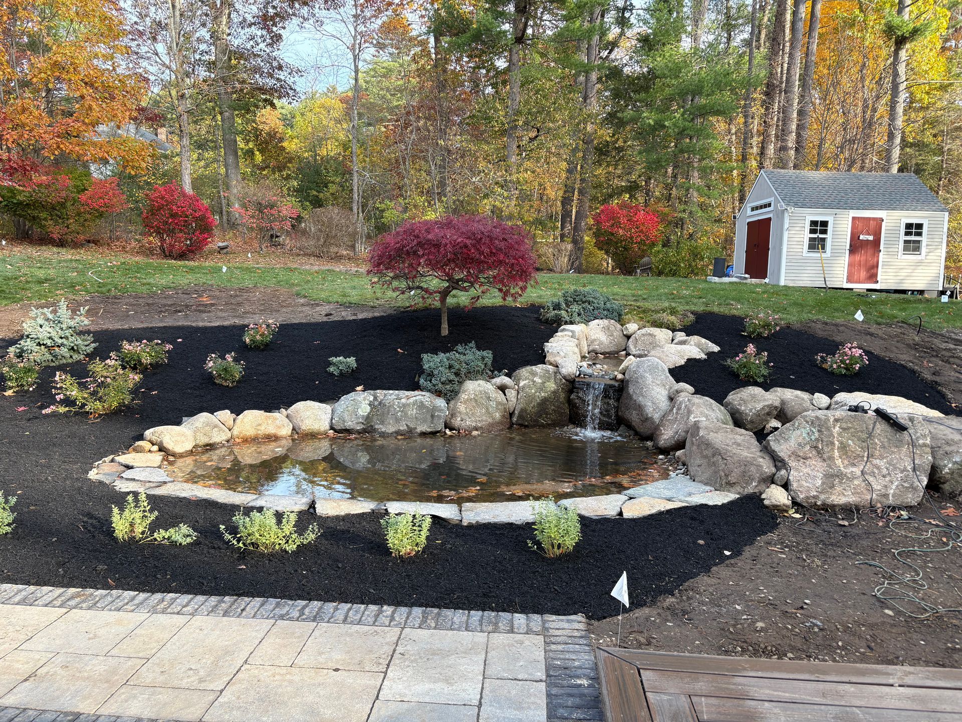 A small, stone-edged garden pond with a waterfall feature surrounded by black mulch, a red-leafed tree, and a storage shed.