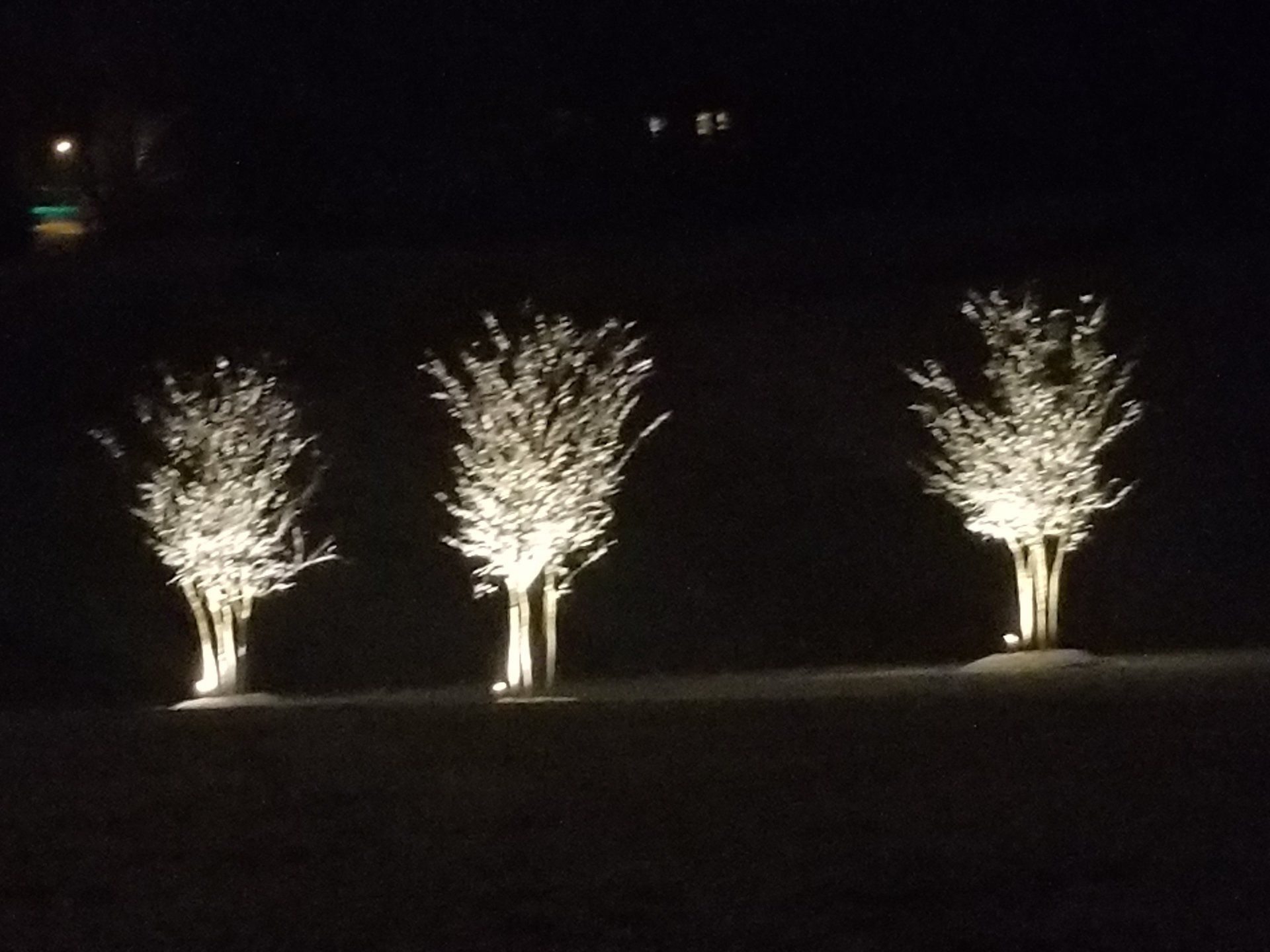 Landscape lights