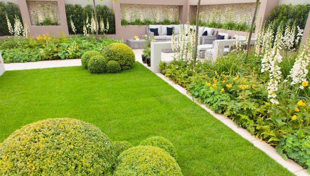 Lush green lawn in a park, surrounded by trees and shrubbery, with a white wall in the background.