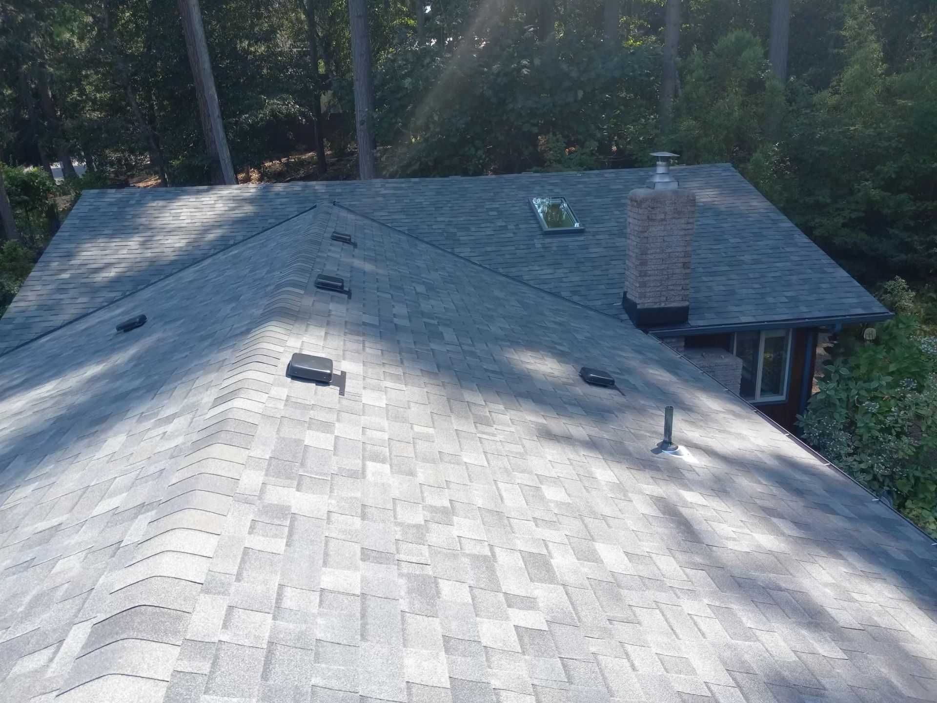 Aerial view of a gray shingled house roof with vents, chimney, and surrounding trees