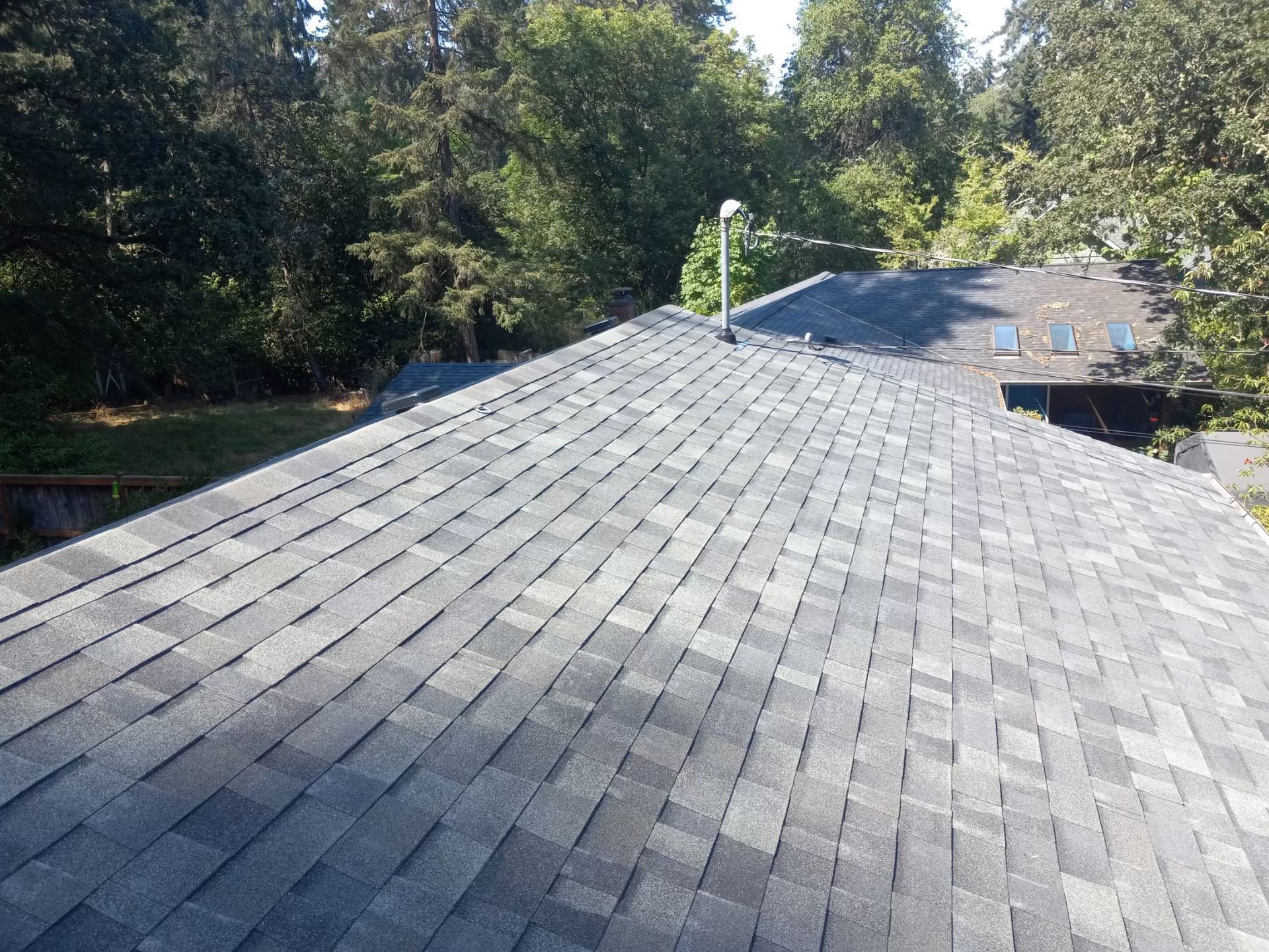 Rooftop with gray shingles and a small hole, surrounded by trees and bright sky