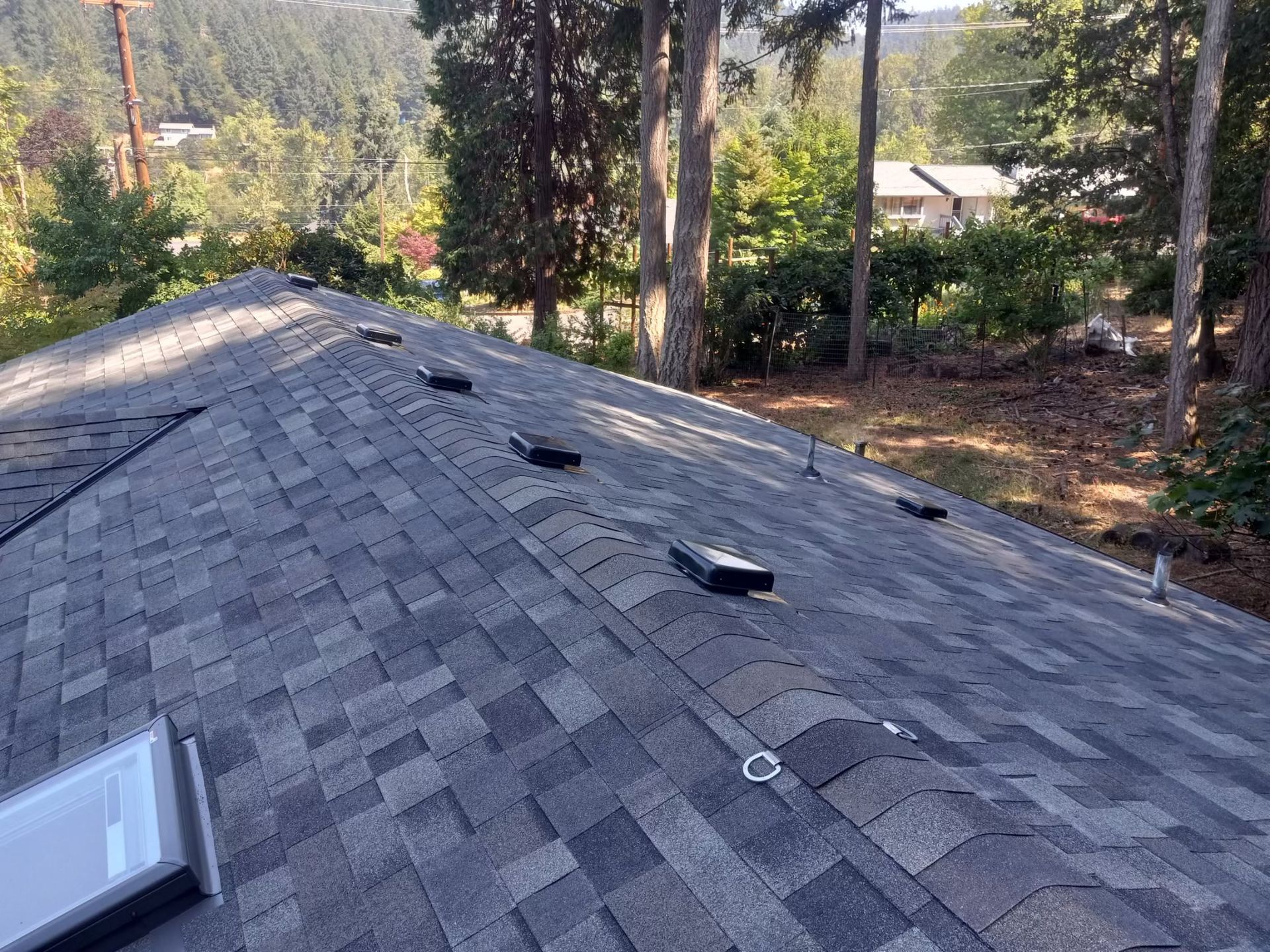 Roof with dark shingles and vents in a wooded residential area, viewed from above.