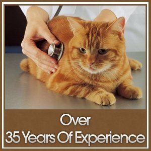 Veterinarian - Marymont Animal Hospital Inc. - Silver Spring, MD