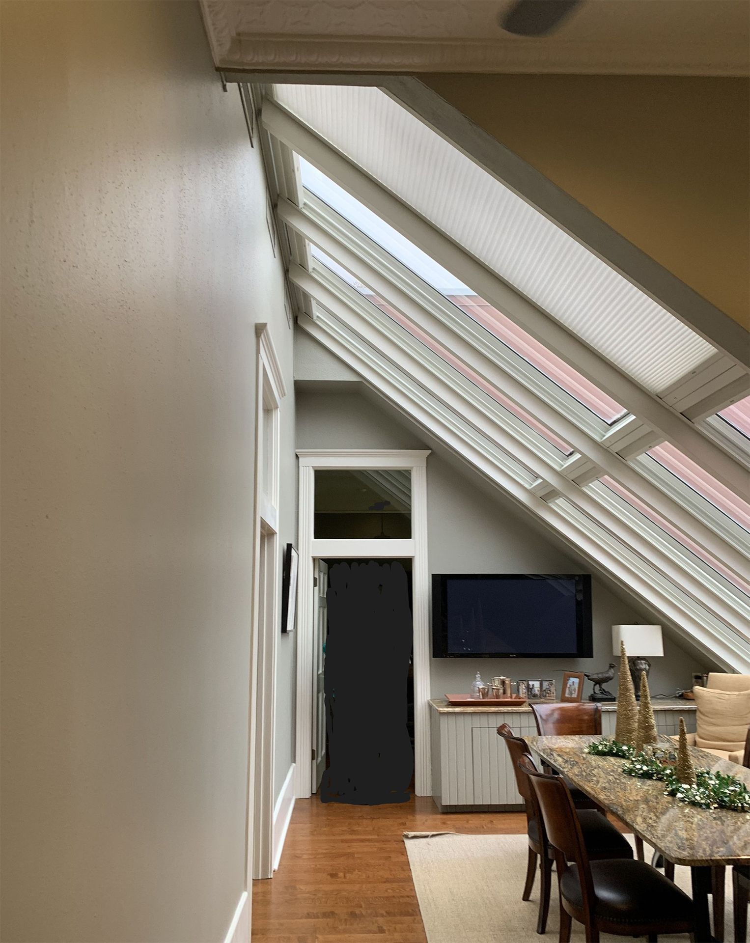 Interior view: Living/dining space with angled skylight, TV, dining table, and door.