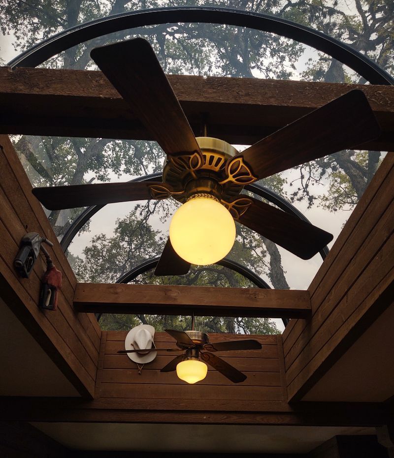 Two ceiling fans with lights in a skylight, showing tree branches through the glass.