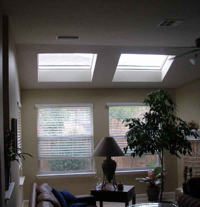 Living room with skylights, windows, a lamp, and a large plant.
