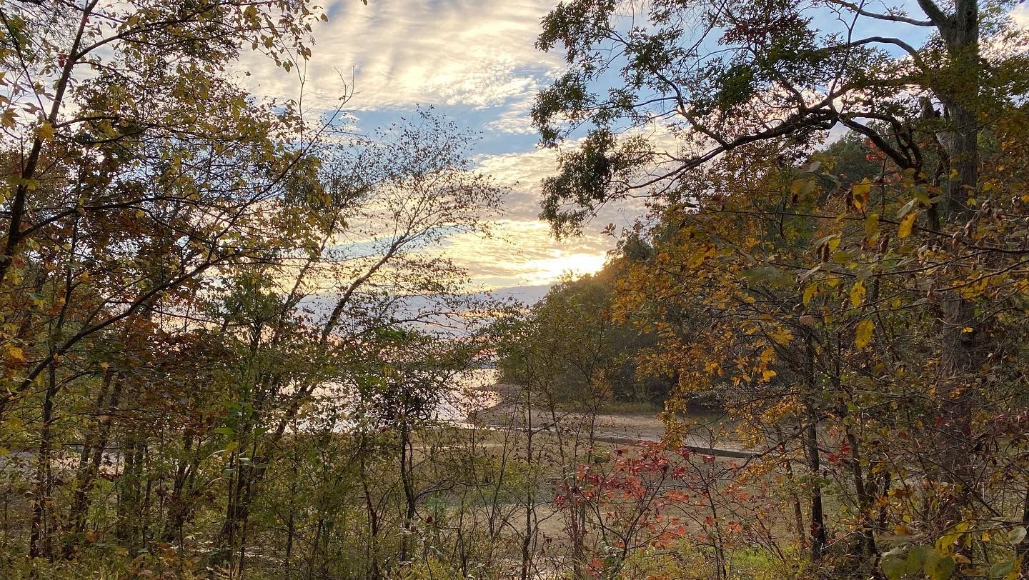 fall landscape 