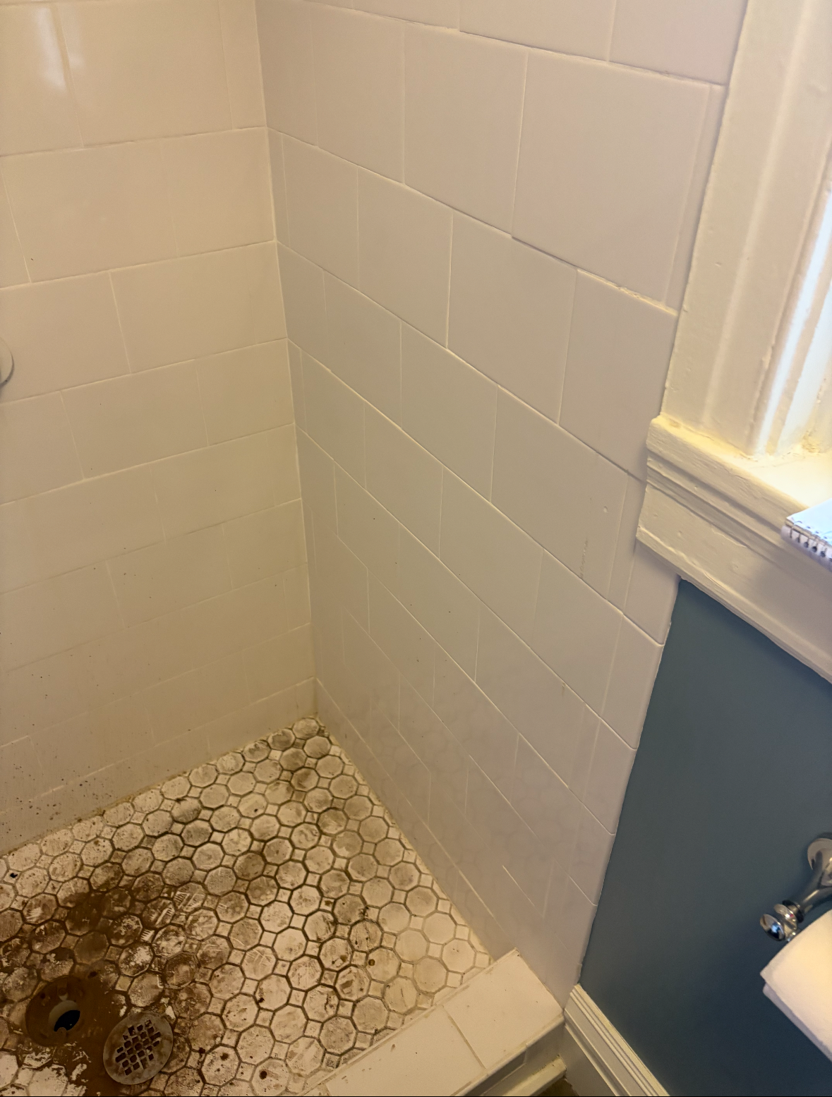 Tiled shower with white walls, mosaic tile floor, and debris. Corner shower with window.