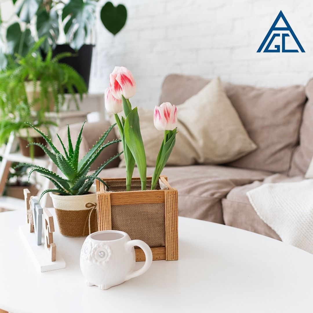 A living room with a couch and plants on the table