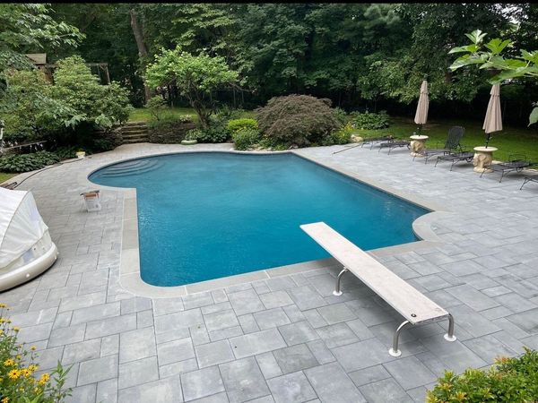 Swimming pool with a diving board, surrounded by stone paving. Green trees and shrubbery provide a backdrop.