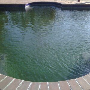 Swimming Pool Coping