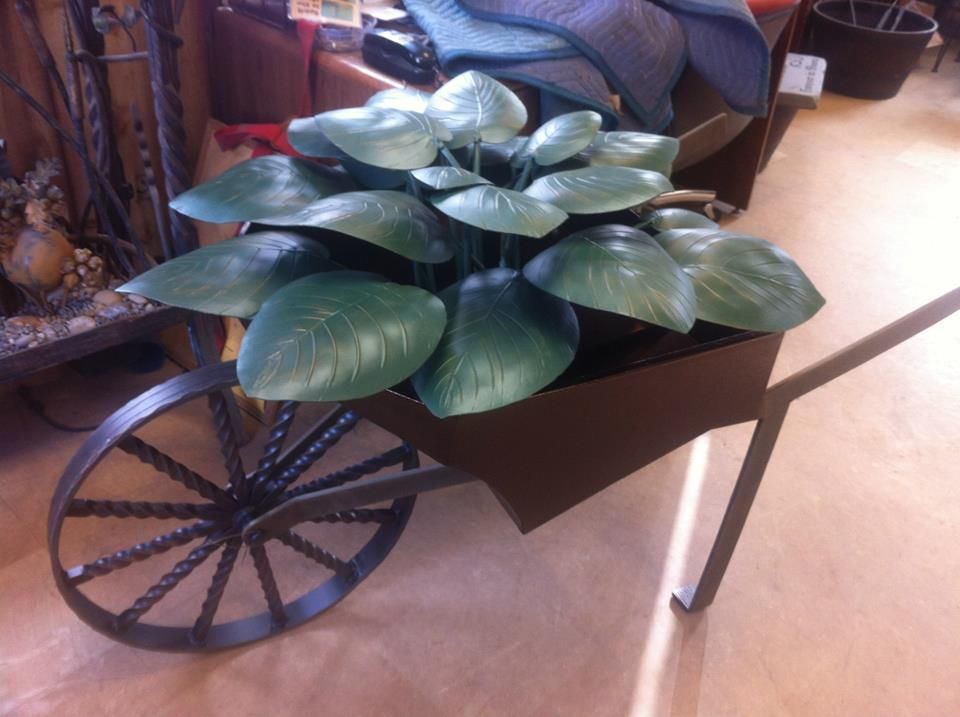 A wheelbarrow with a plant in it
