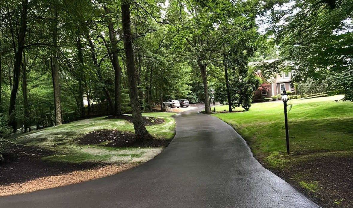 Asphalt driveway curves toward a house, flanked by green grass, trees, and parked cars.