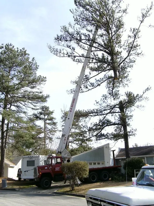 A tree being trimmed by a truck with a long crane arm in a residential area.