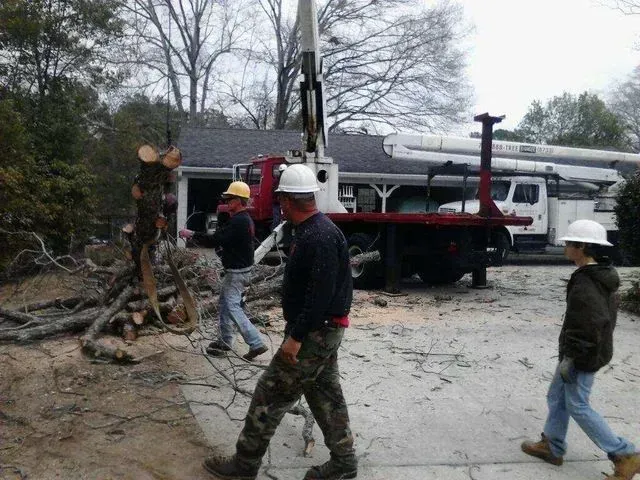 Tree removal crew working near a house. Workers wearing hard hats, logs on ground, and a crane truck.