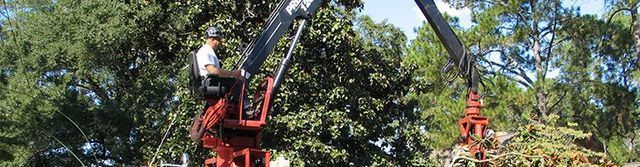 A tree service worker in a lift basket trimming a tree with the bucket arm in the background.