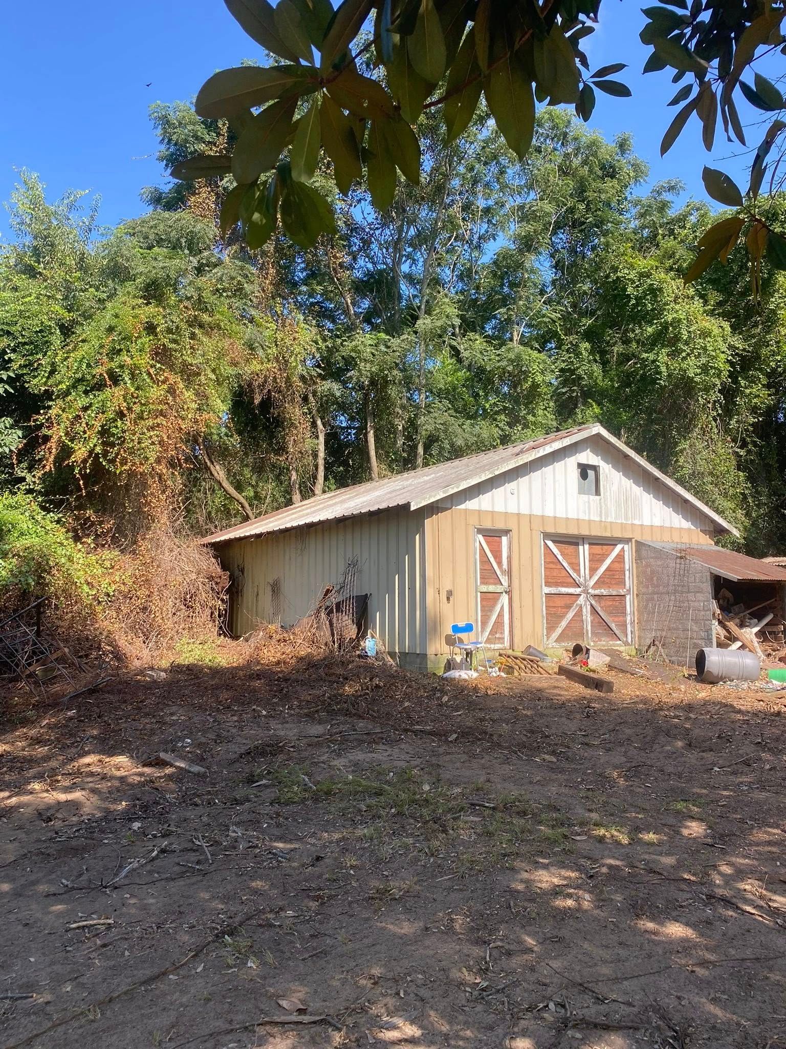 A weathered, light-colored shed with red doors sits amidst trees under a blue sky.