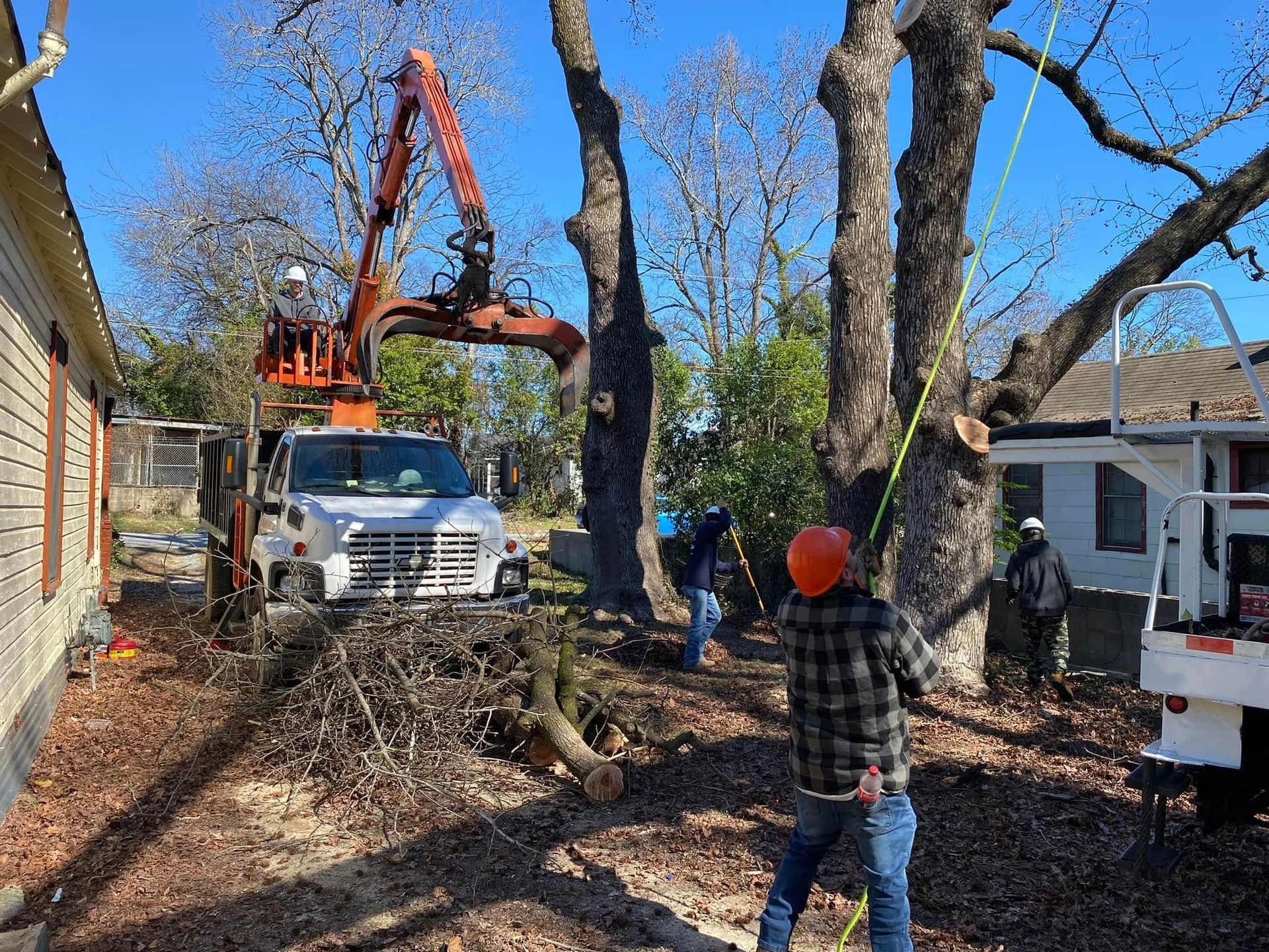 Tree removal in progress: A truck with an extended arm lifts branches. Workers are on the ground, guiding the process.