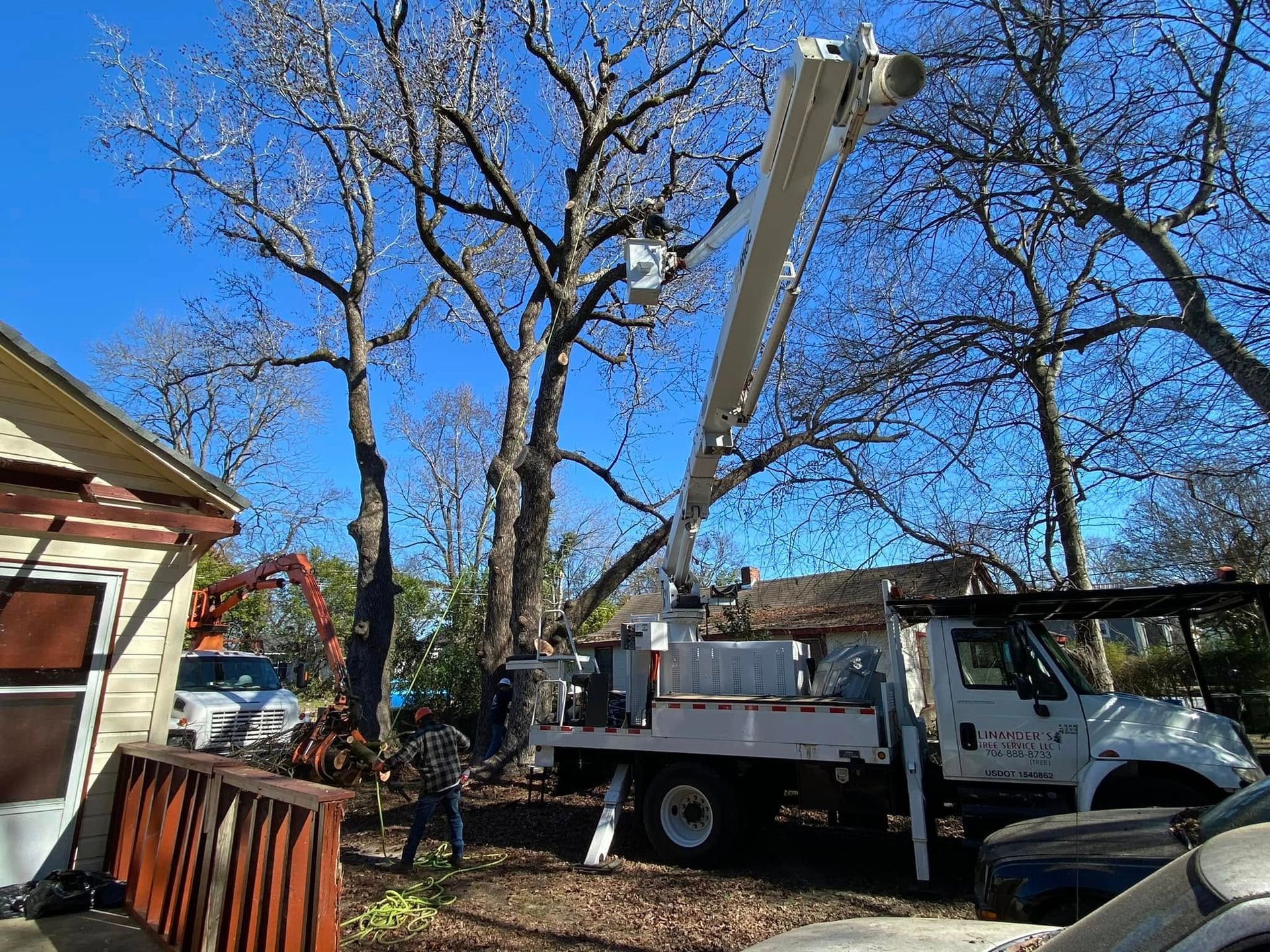 A tree being trimmed by a bucket truck near a house, blue sky visible.