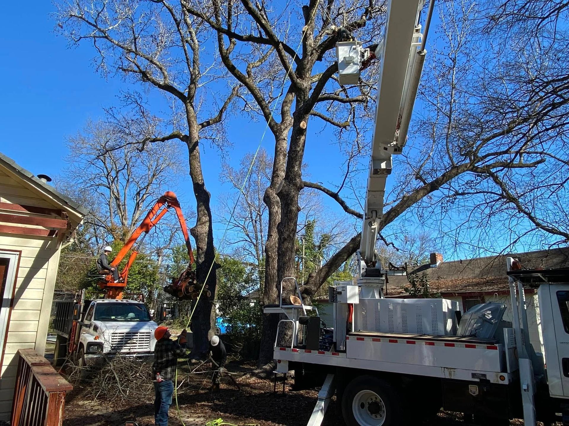 Tree trimming with crane and bucket truck; sunny day, residential setting.