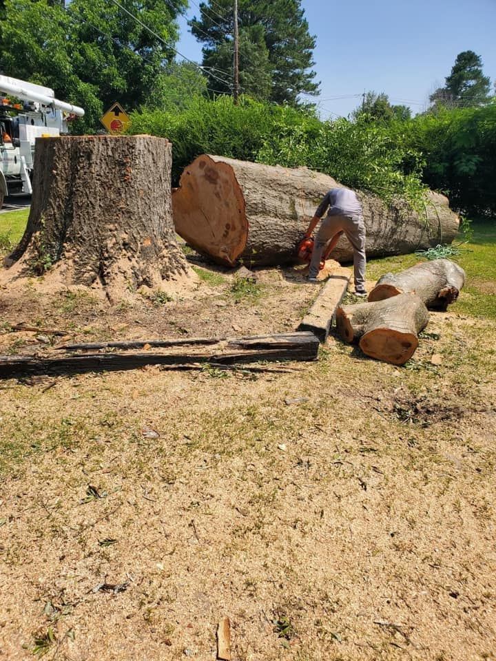 Man using a chainsaw to cut a large fallen tree trunk into sections on a grassy area.