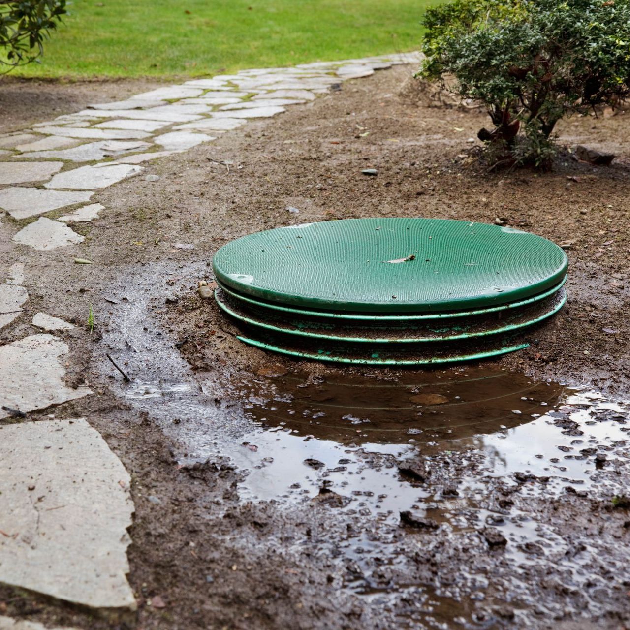 A stack of green plates are sitting in a puddle of water